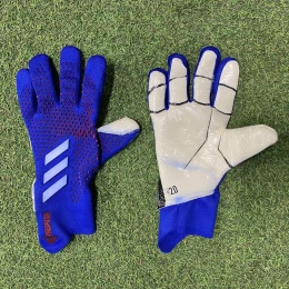 Вратарские перчатки Adidas Predator 20 Pro blue #1