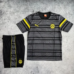 Футбольная форма Borussia Training grey #1